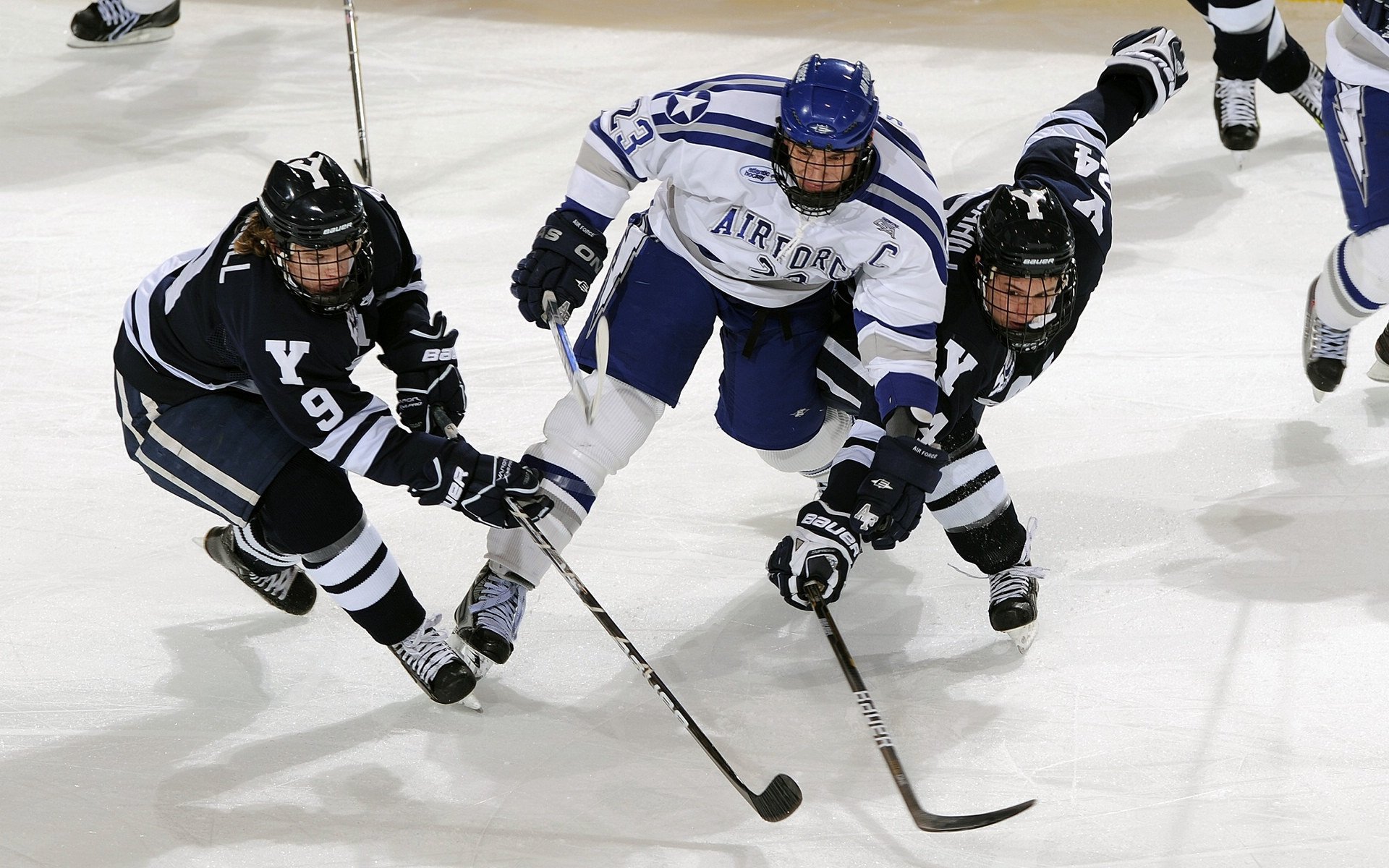 勇士统治赛场CBA季后赛,勇士本赛季